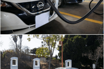 The Evolution of Electric Cars in the United States