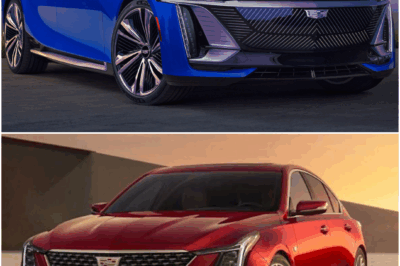 The Psychology of Car Colors: What Your Ride Says About You