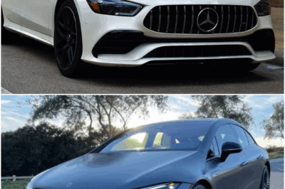 How Formula 1 Innovations Shape Everyday Cars